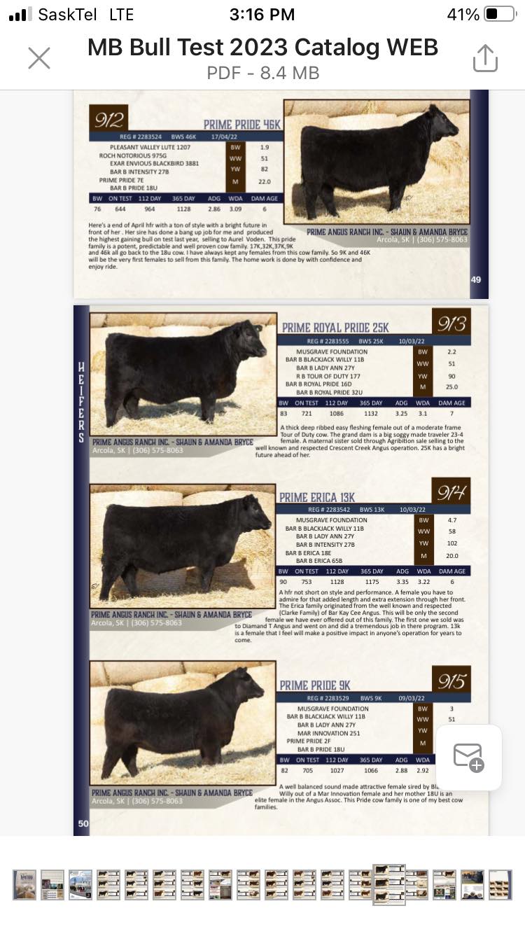 Prime Angus Ranch
