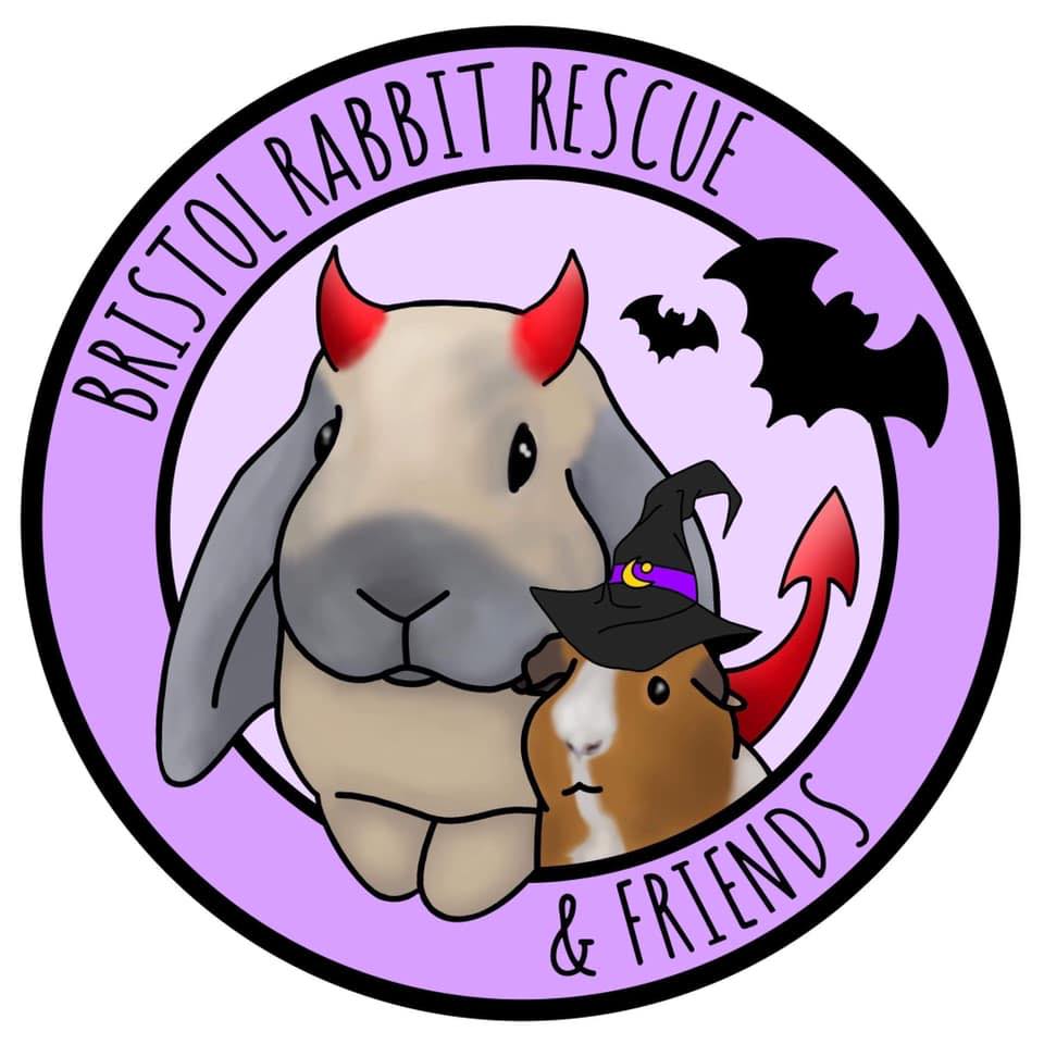 Bristol Rabbit Rescue... - Bristol Rabbit Rescue And Friends