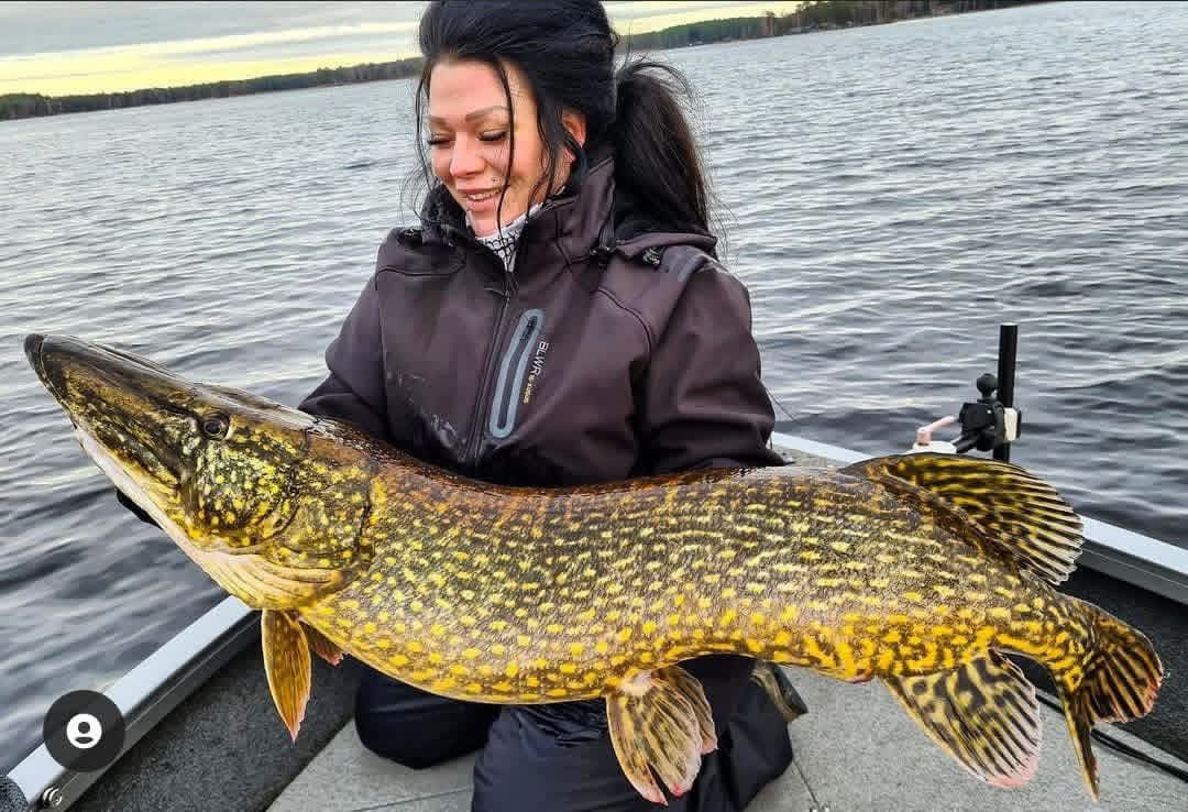 BIG PIKE caught by @johanssonedvinn ❗️ 121cm and 10,49 kg