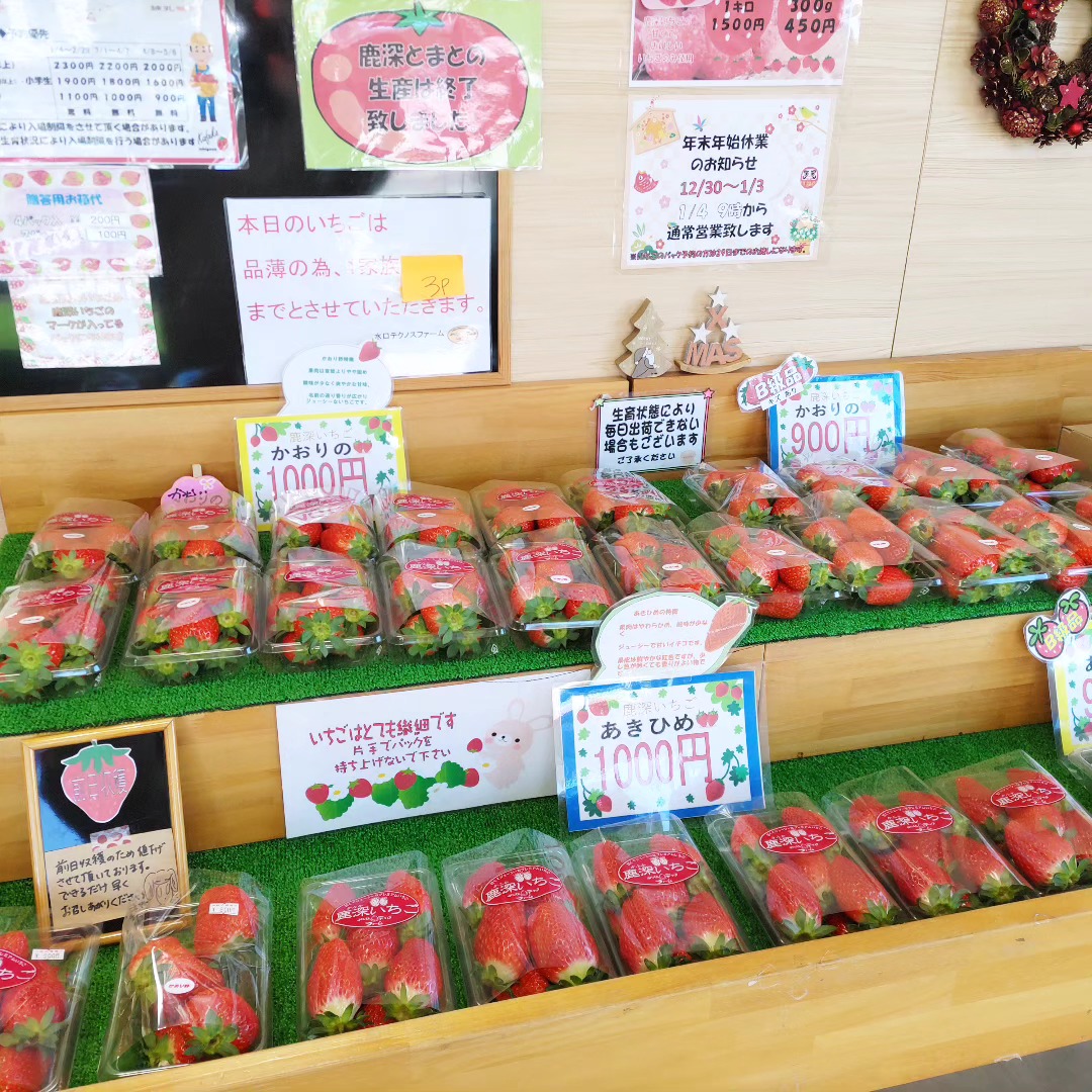 か ふか いちご 園