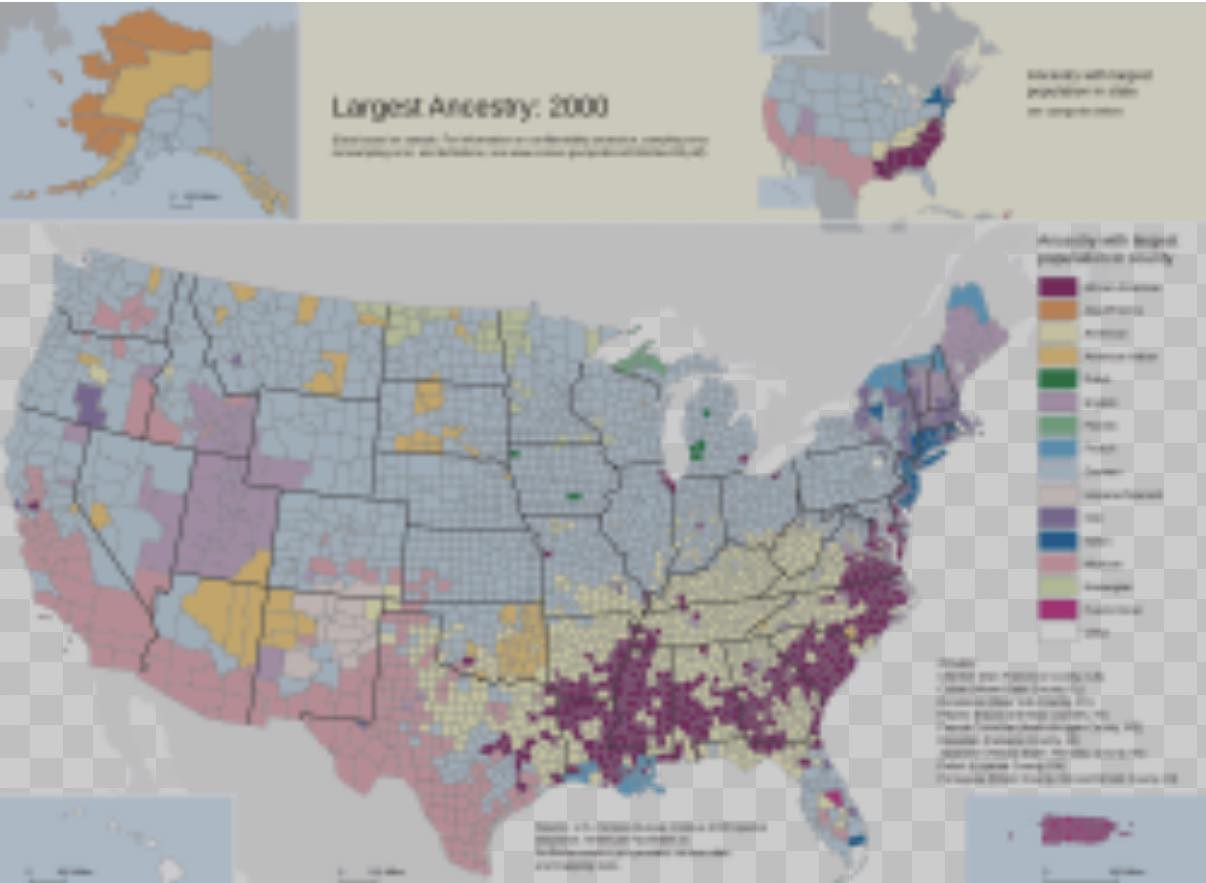 🇺🇸 Top 10 Ethnic Groups in the... - Amazing World Geography | Facebook