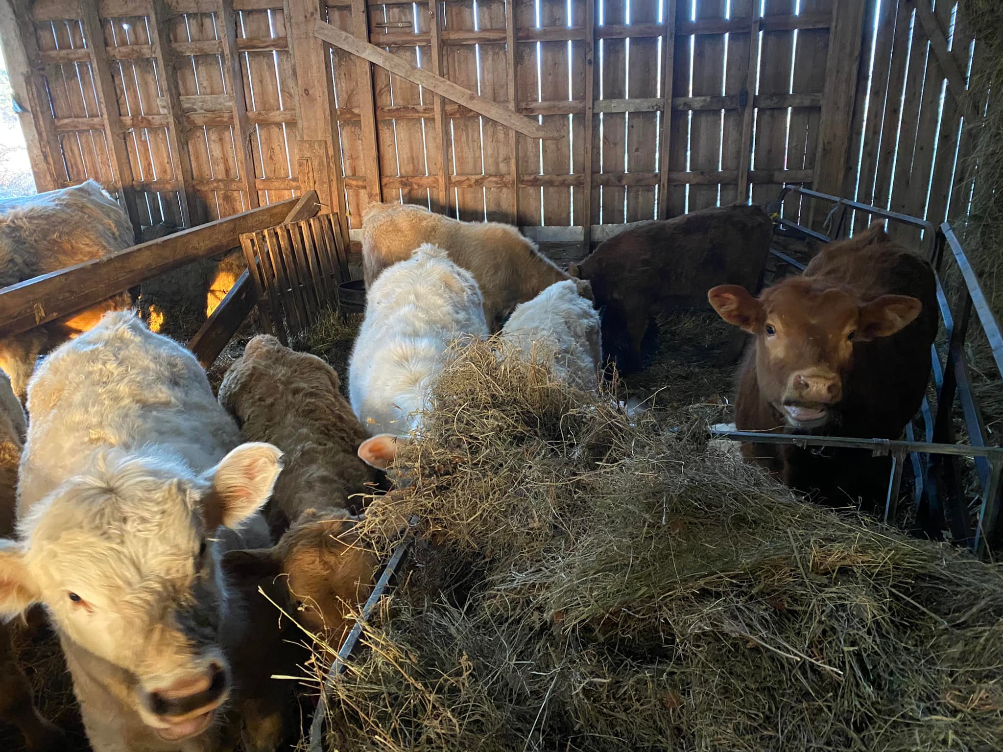Limestone Ridge Farms