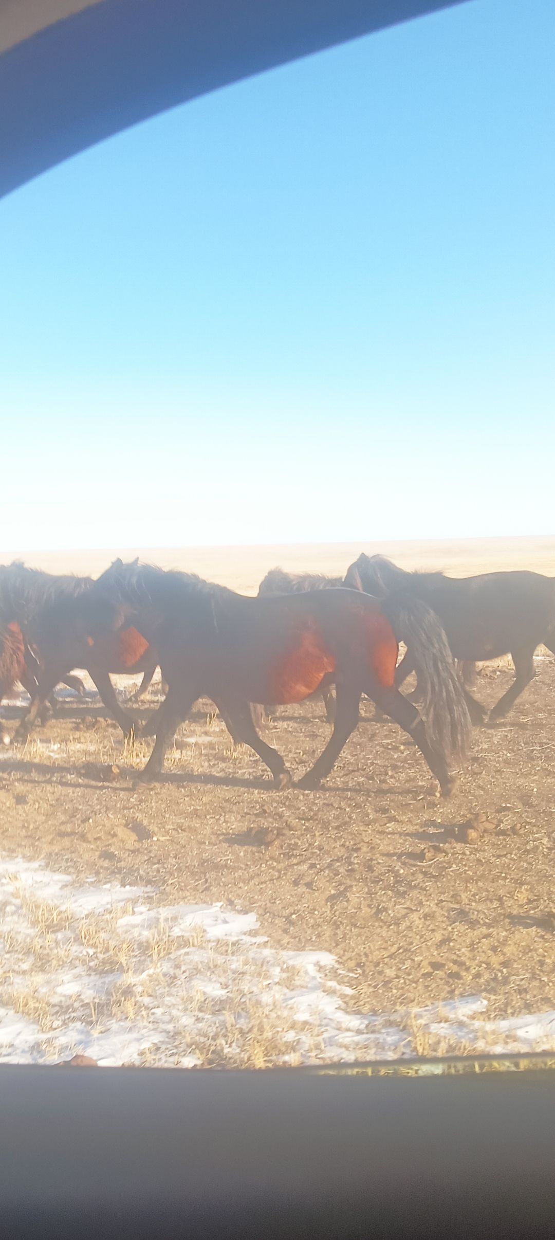 azraga zaran mongol suhbaatar aimagt bga | Facebook