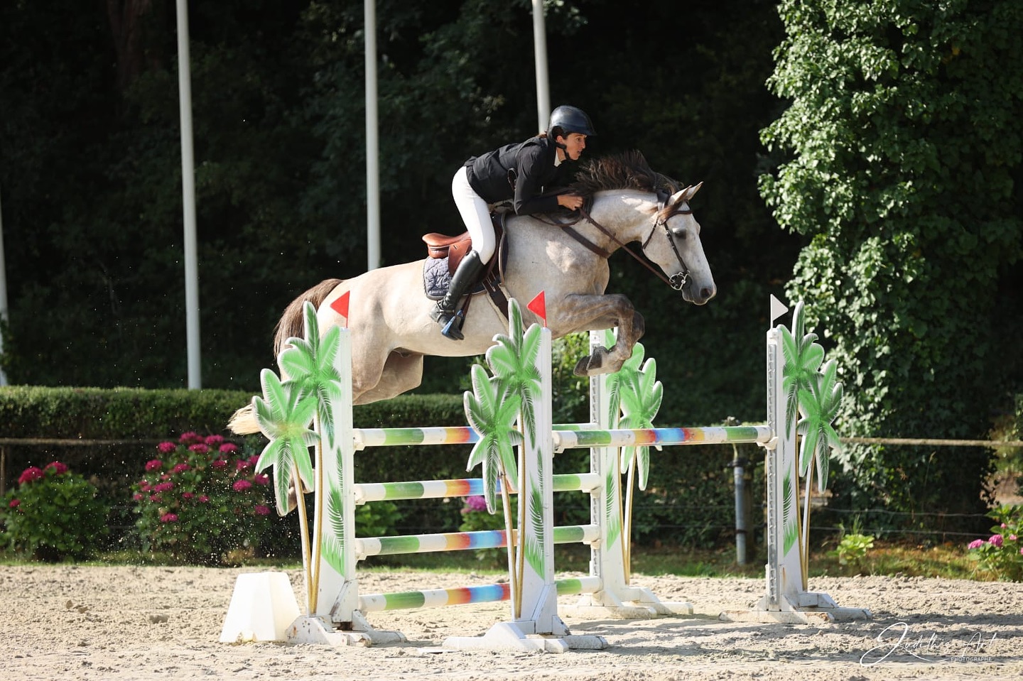 Elevage - [Jupiter du Terral se classe 2e du GP des 6 ans de Royan] 🧬 ...