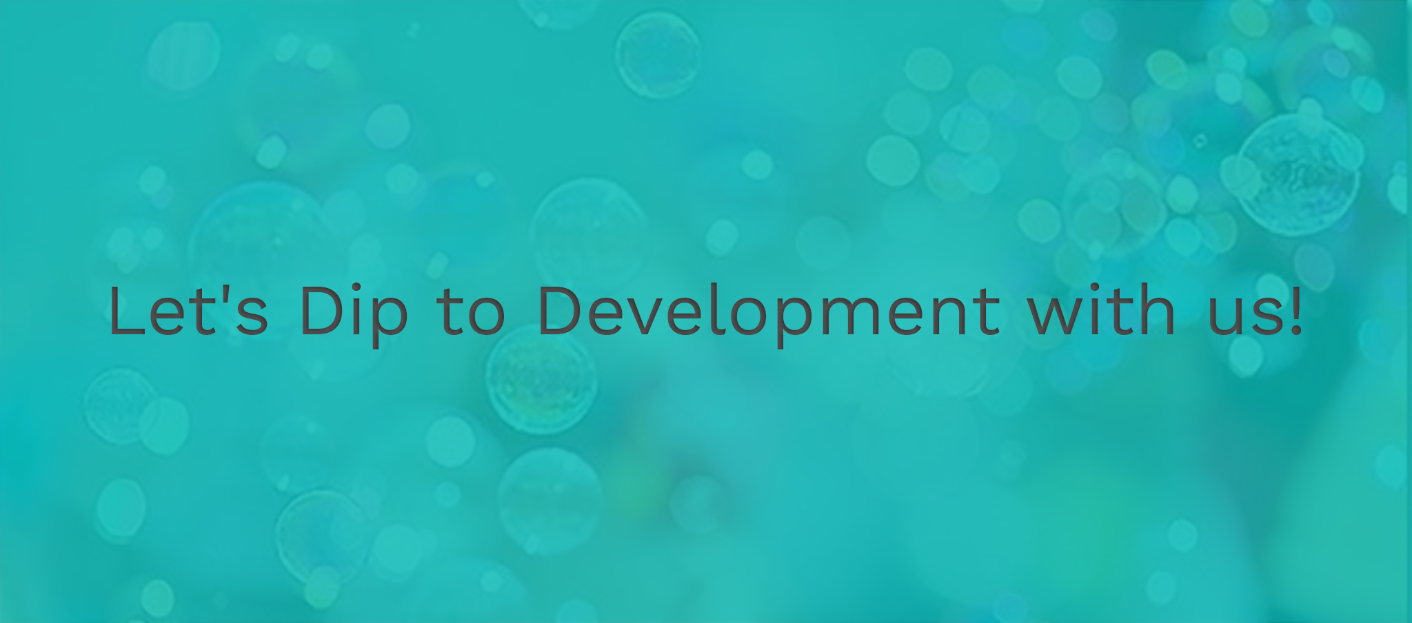 DipDev Studio | Kharkiv