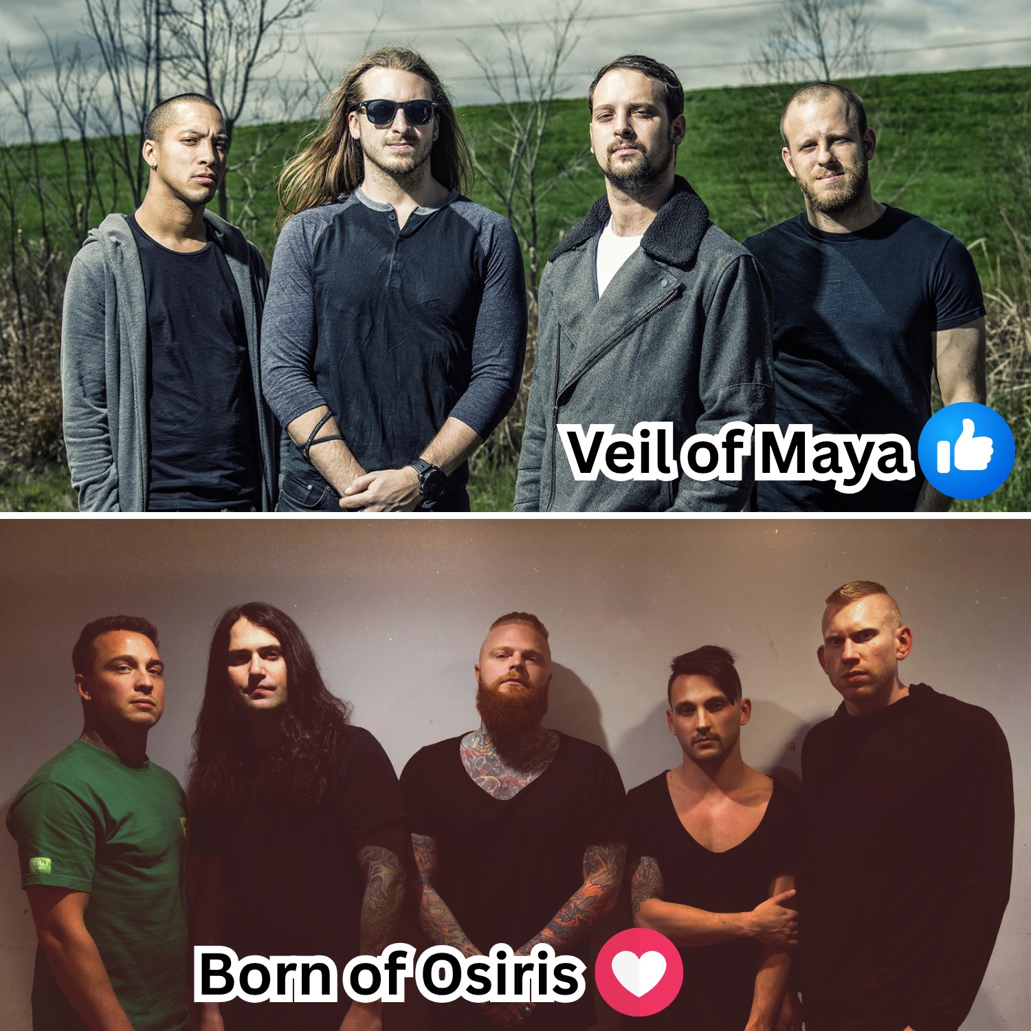 Veil of Maya is an American metalcore and progressive metal band