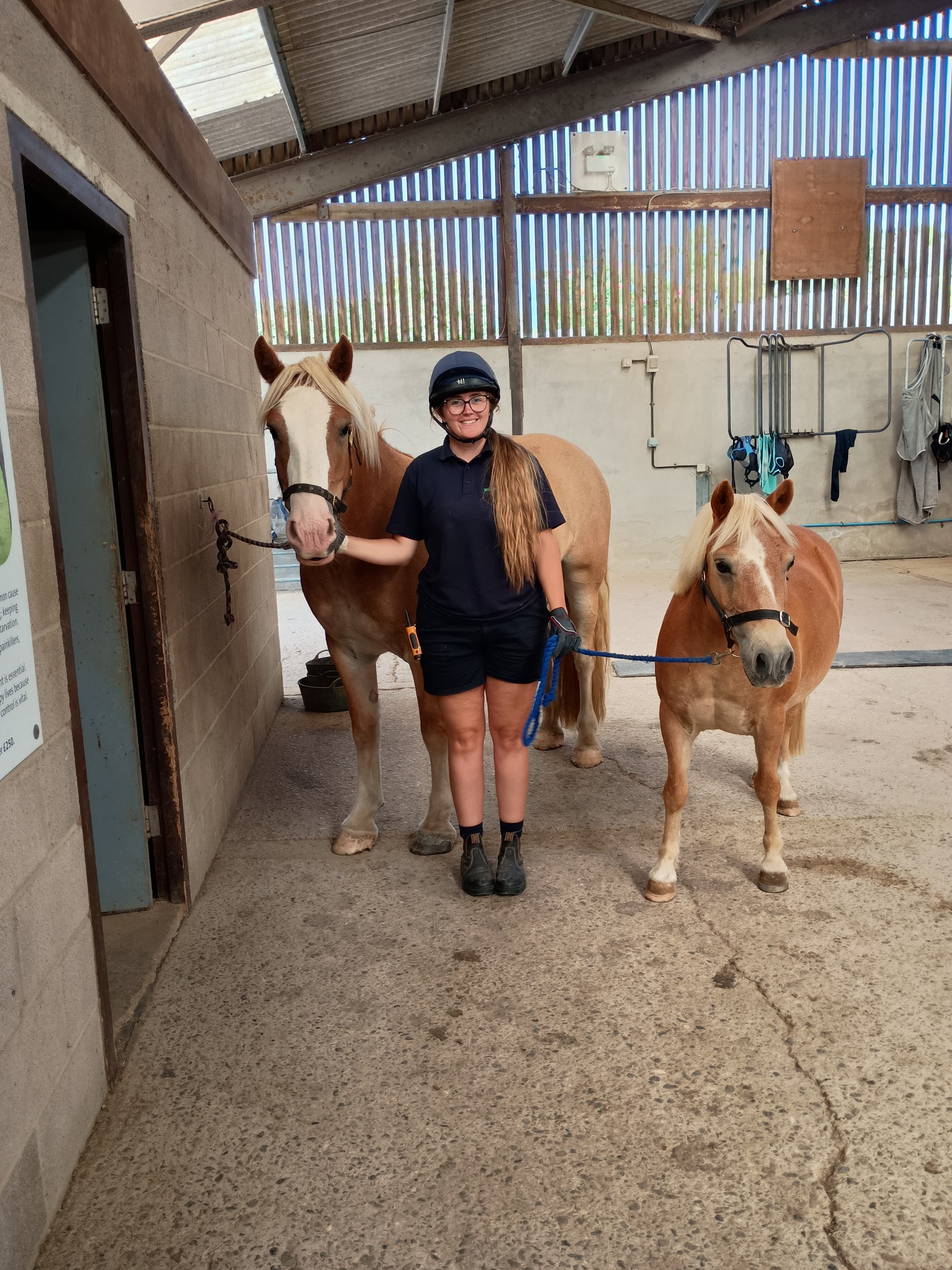 World - Get to know us and what we do with a family friendly farm tour ...