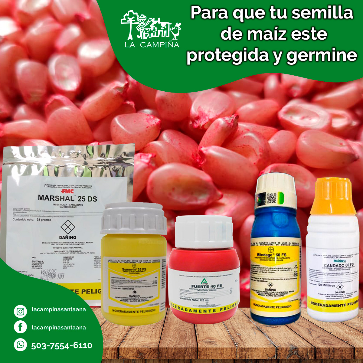 Agroservicio - Blindage 60 FS Es un insecticida para el tratamiento de ...