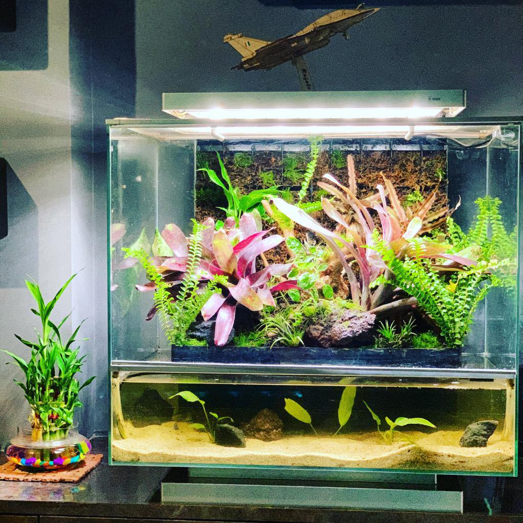 Biopod Smart Microhabitat