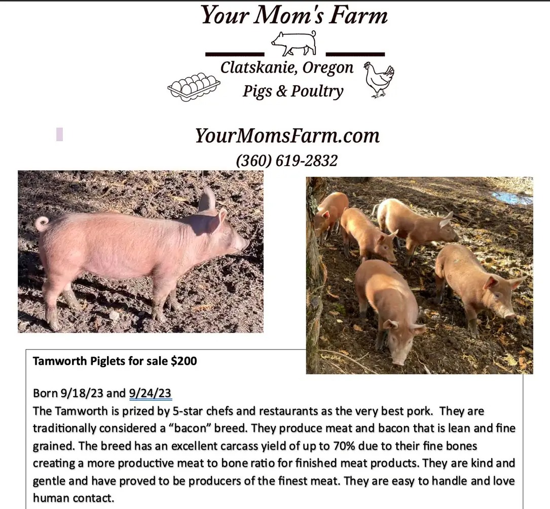Powder Creek Ranch | Beaver OR