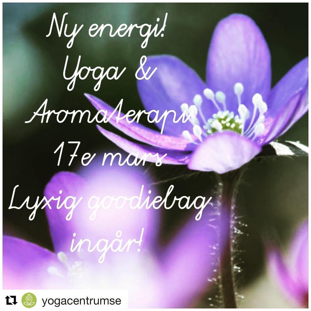 Kvarnen miniretreat- Ellinor Läth - Jag längtar SÅ mycket till våren nu ...