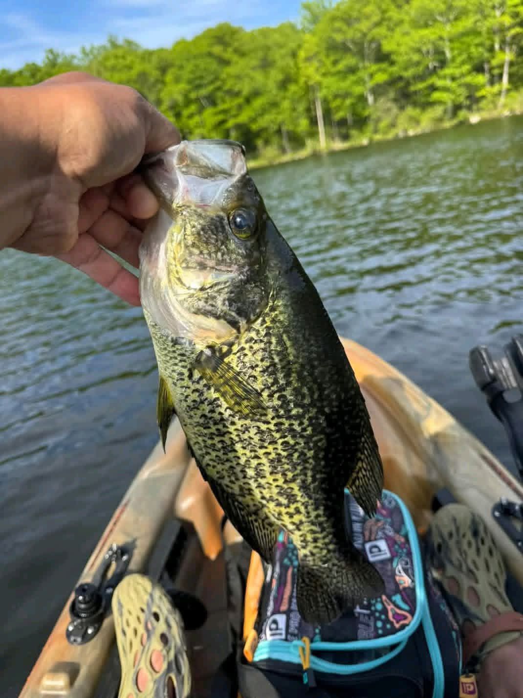 React - Crappie were 1.90 pounds and 15 inches long in the kayak. Nice ...