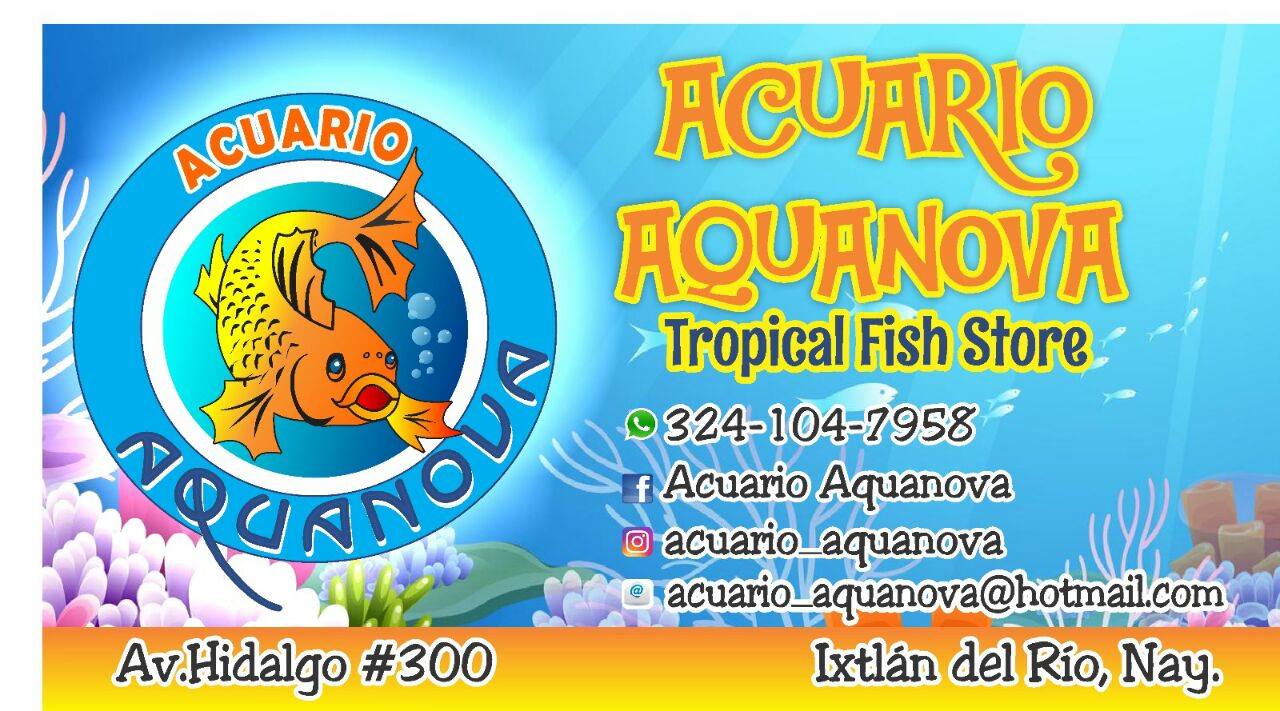 Acuario Aquanova | Ixtlán del Río