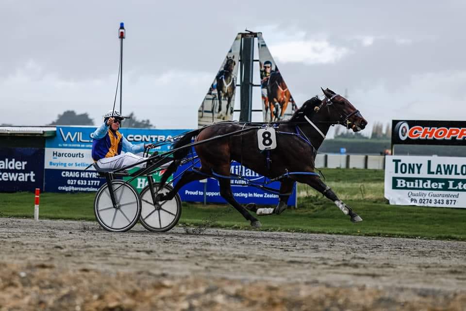 🚀 Addington is OUT THE GATE... - Harness Racing New Zealand | Facebook