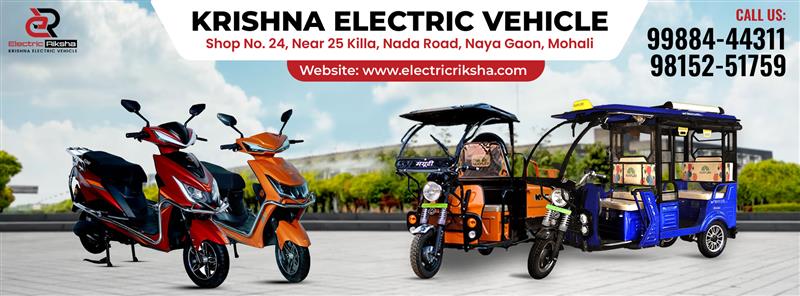 Electric Riksha
