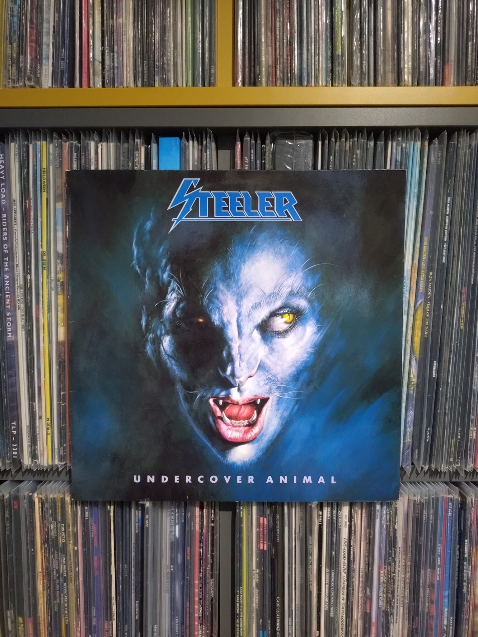 STEELER - Undercover Animal (1988, Steam Hammer). Axel Rudi Pell. 👹