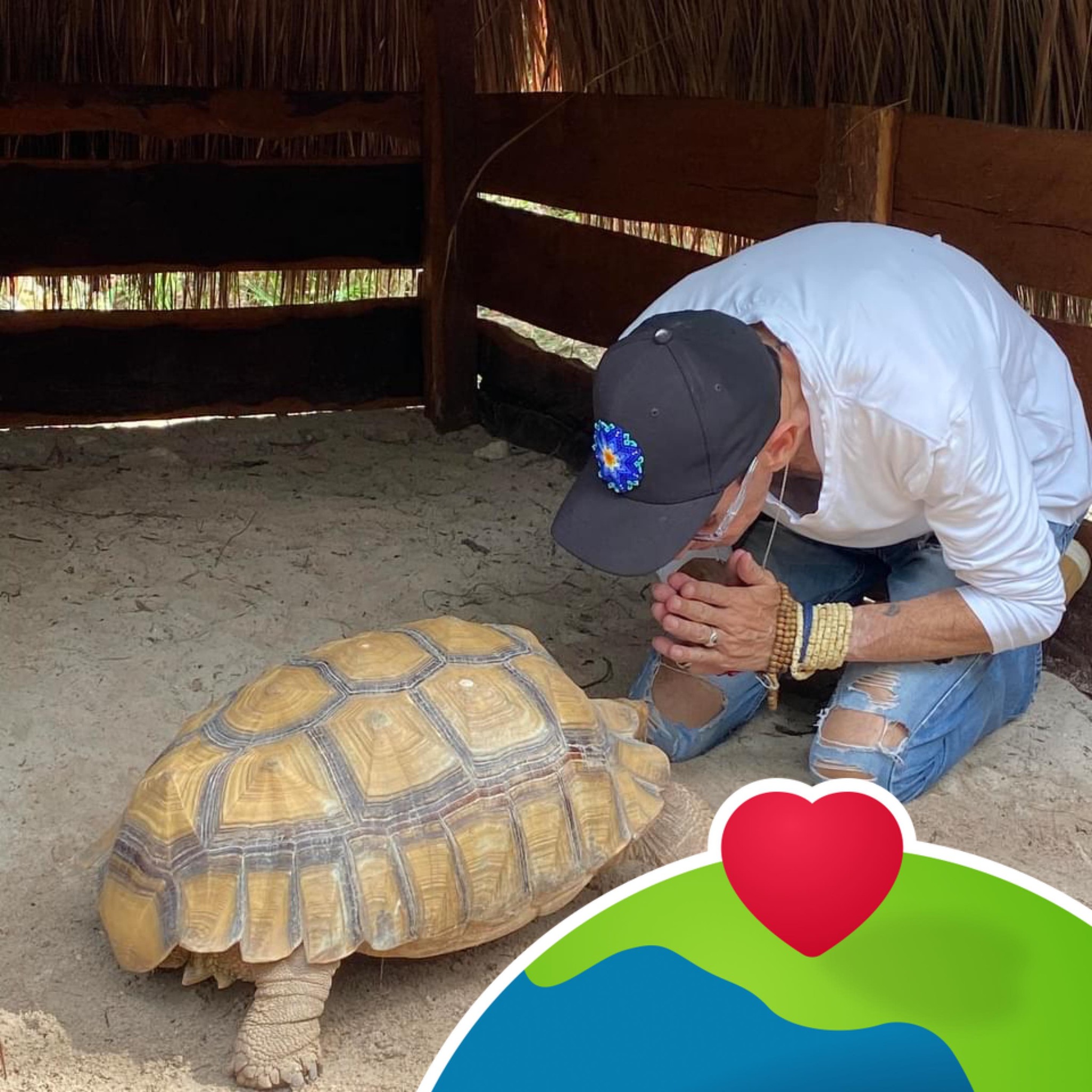 We are simply a wildlife rescue center. Those who know us understand ...