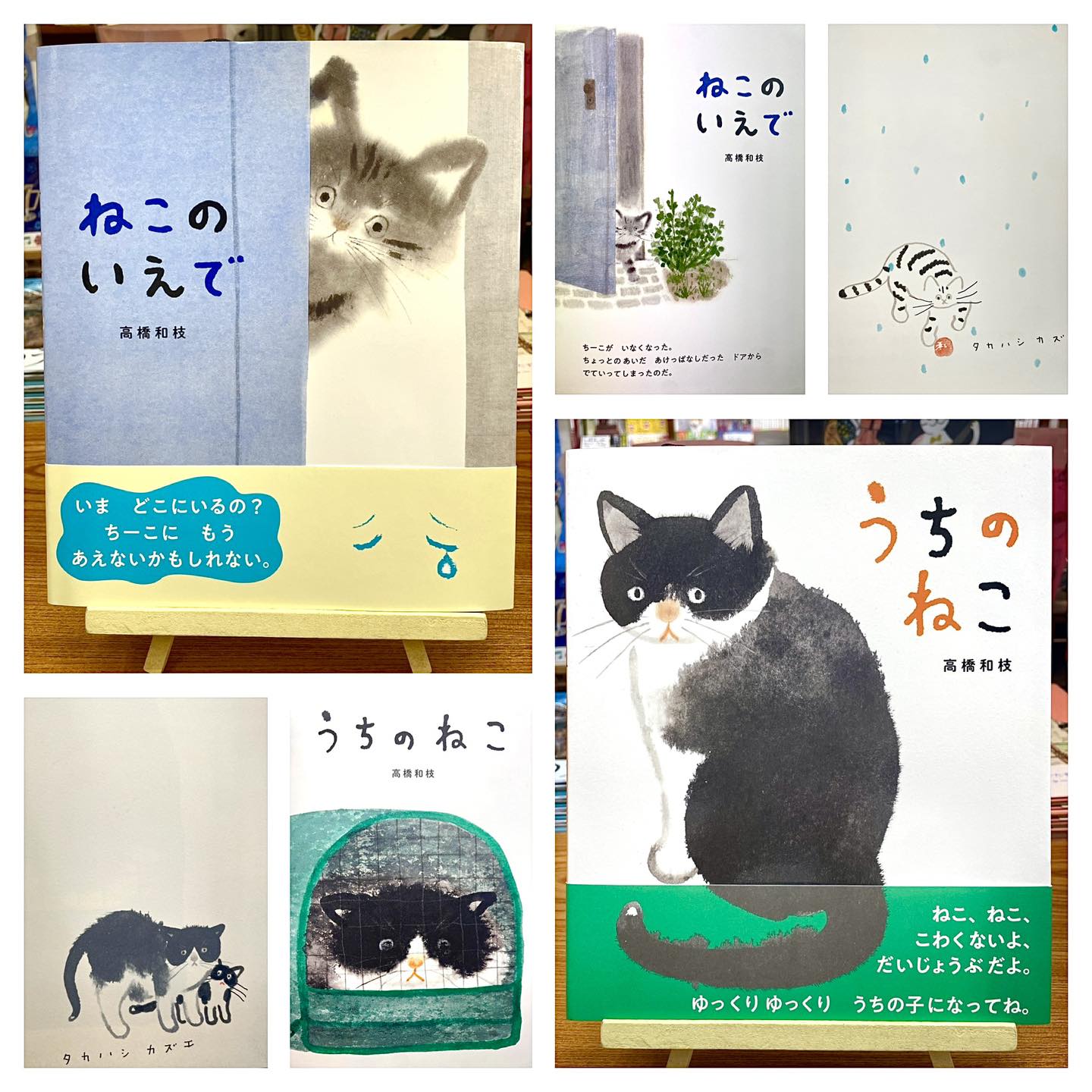 直筆イラスト＆サイン入り絵本入荷💡 📖絵本『ねこのいえで』1650円 ち