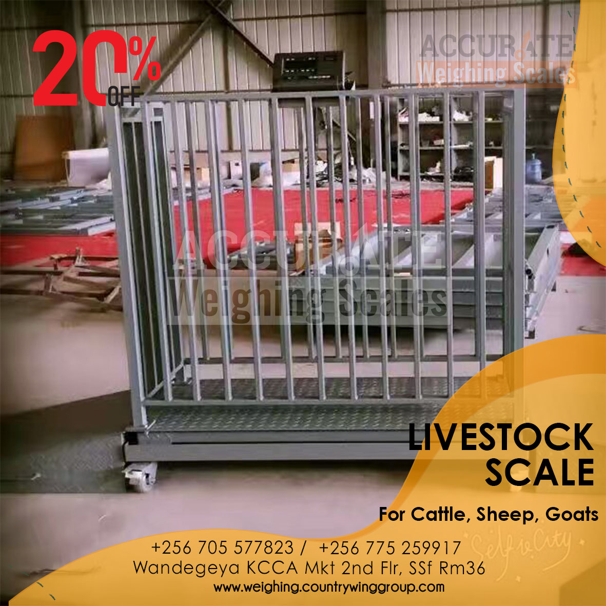 Where can I buy a cattle livestock animal weighing scales Kampala ...