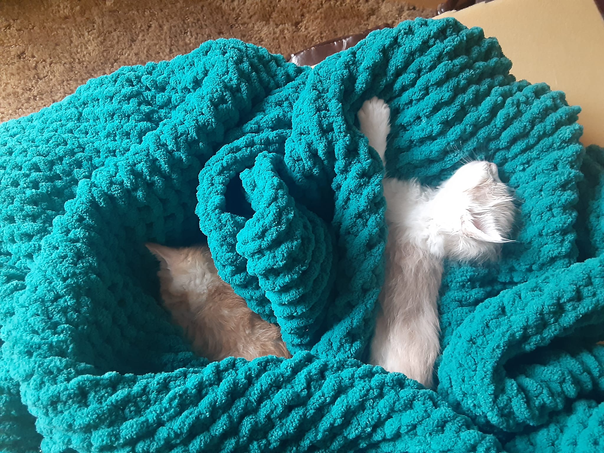 Crafting mom makes blankets for her boys