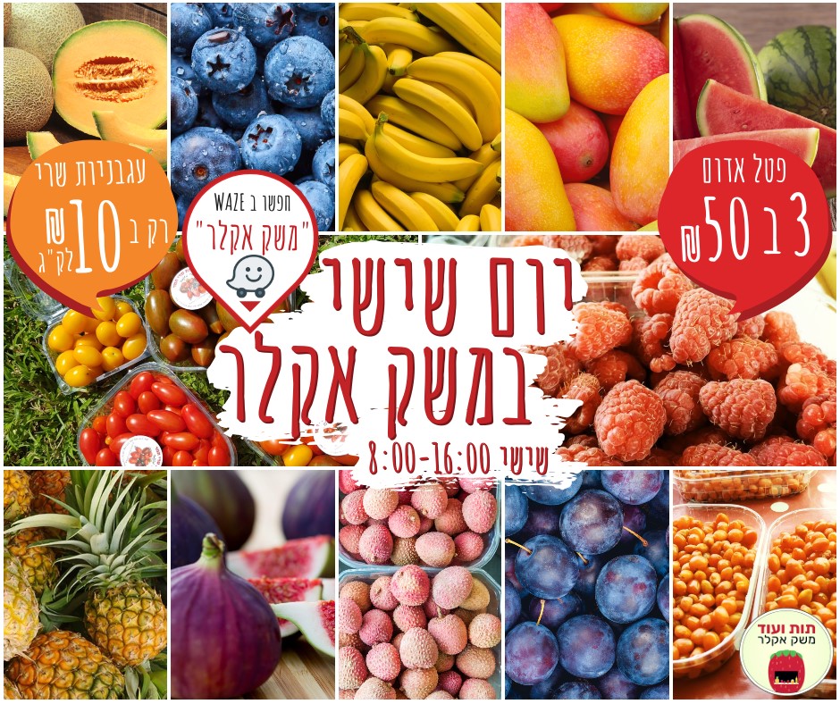 משק - 🍓👨‍🌾 יום שישי ב משק אקלר - תות ועוד 👨‍🌾 🍓 בואו לרכוש פירות וירקות ...