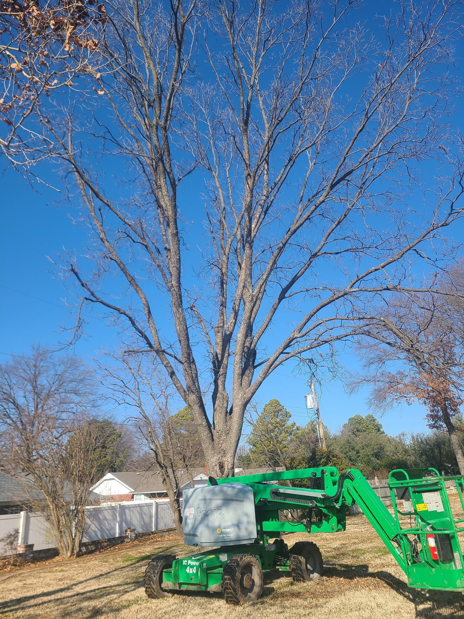 A.B.H Tree & Skidsteer Service | Shawnee OK
