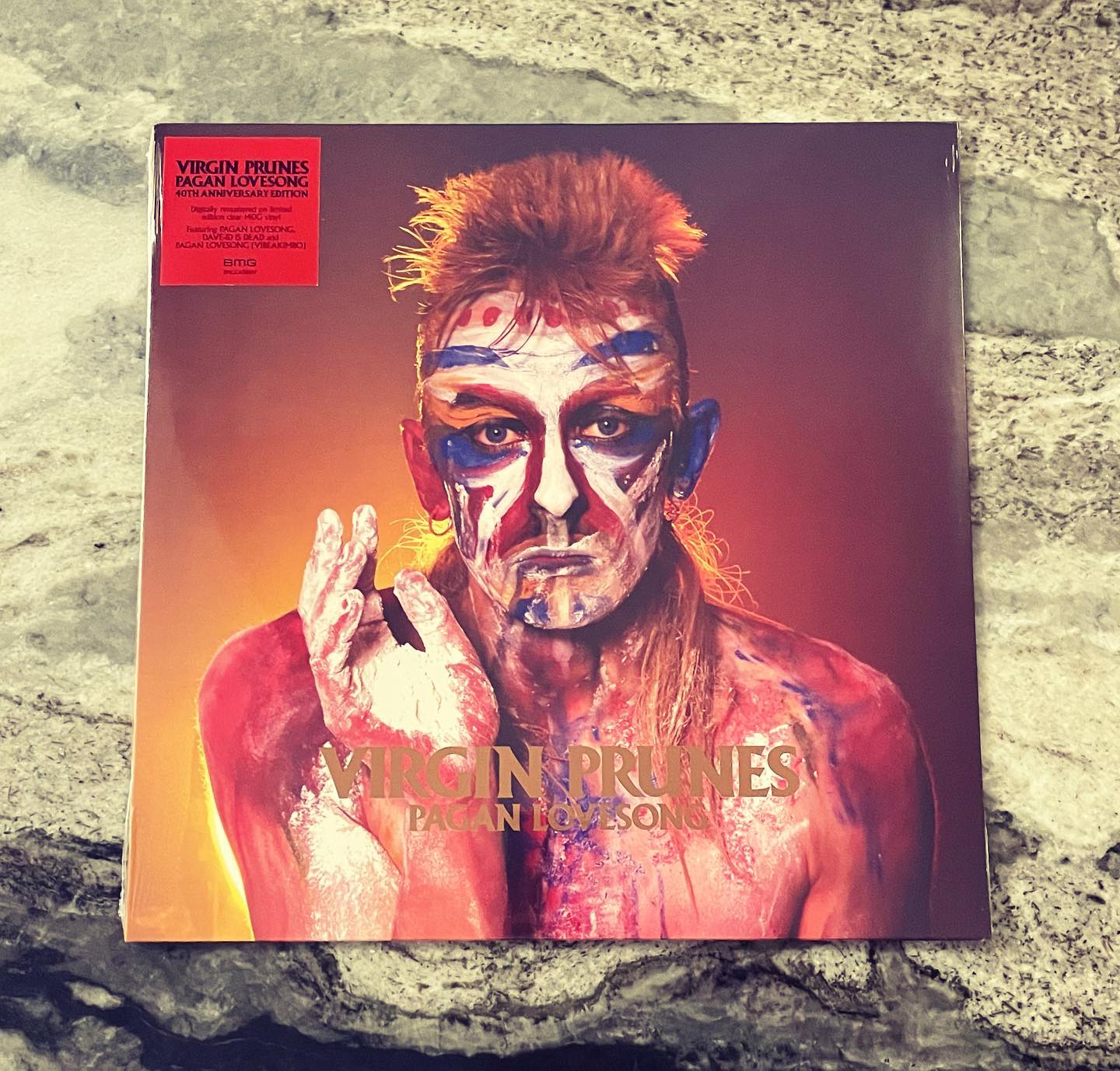 超希少激レアVirgin Prunes+Gavin Friday CD まとめ Discography