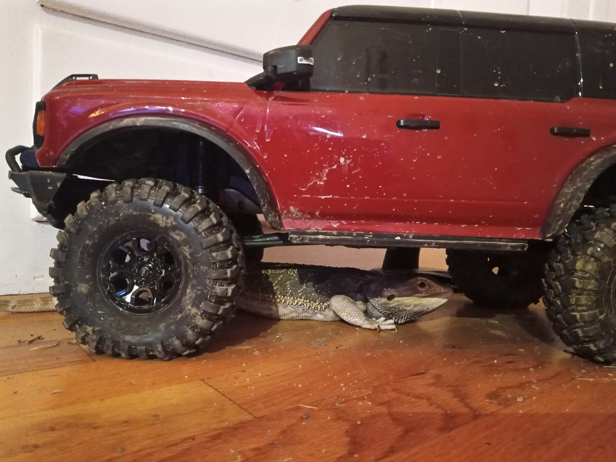 INJORA – Set De 4 Pneus RC 2,2 Pouces, Diamètre 120 Mm, Largeur 48 Mm, Pour Crawler 1/10 Traxxas TRX4, SCX10, Avec Inserts Mousse