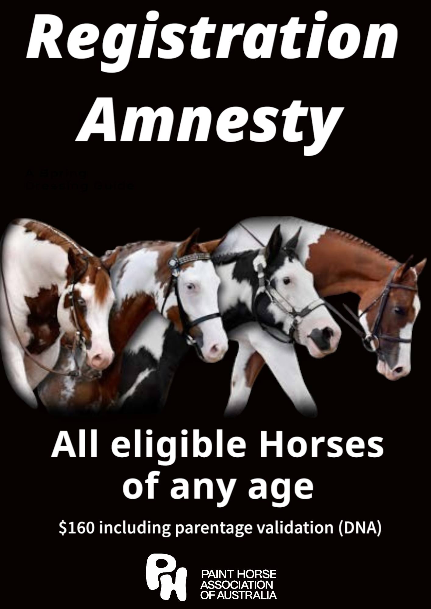 Paint Horse Association of Australia