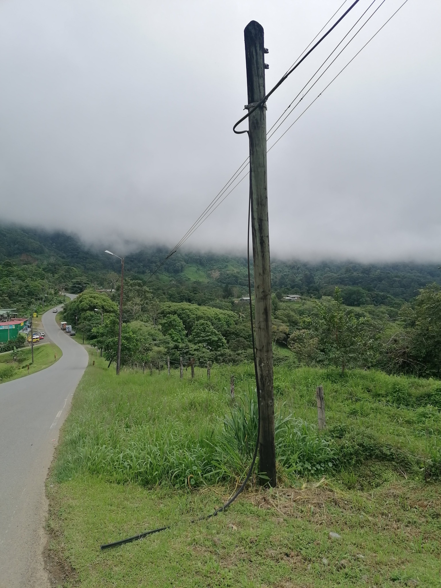 CAPI Costa Rica | Tinamaste