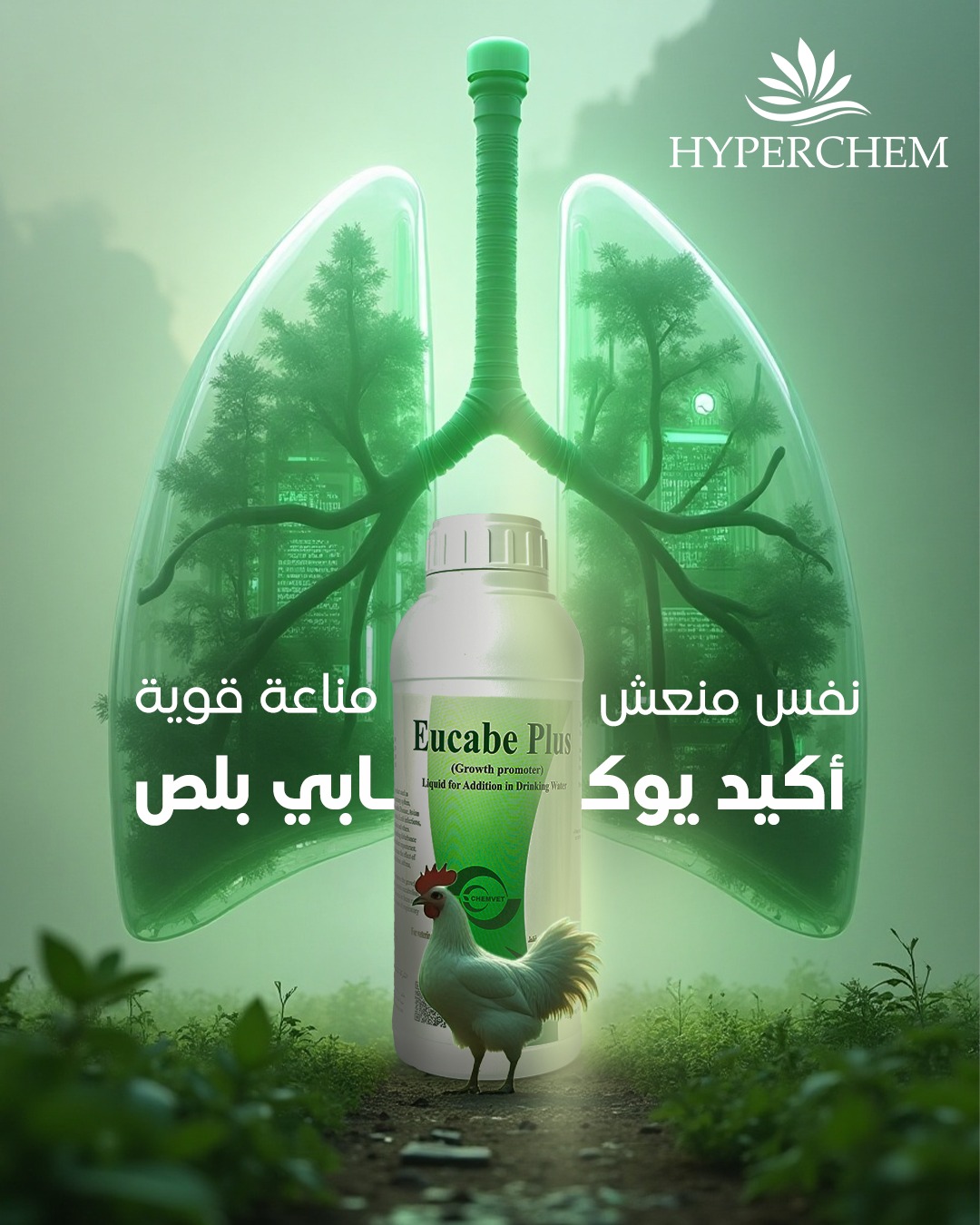 Hyperchem For Animal Health Products.