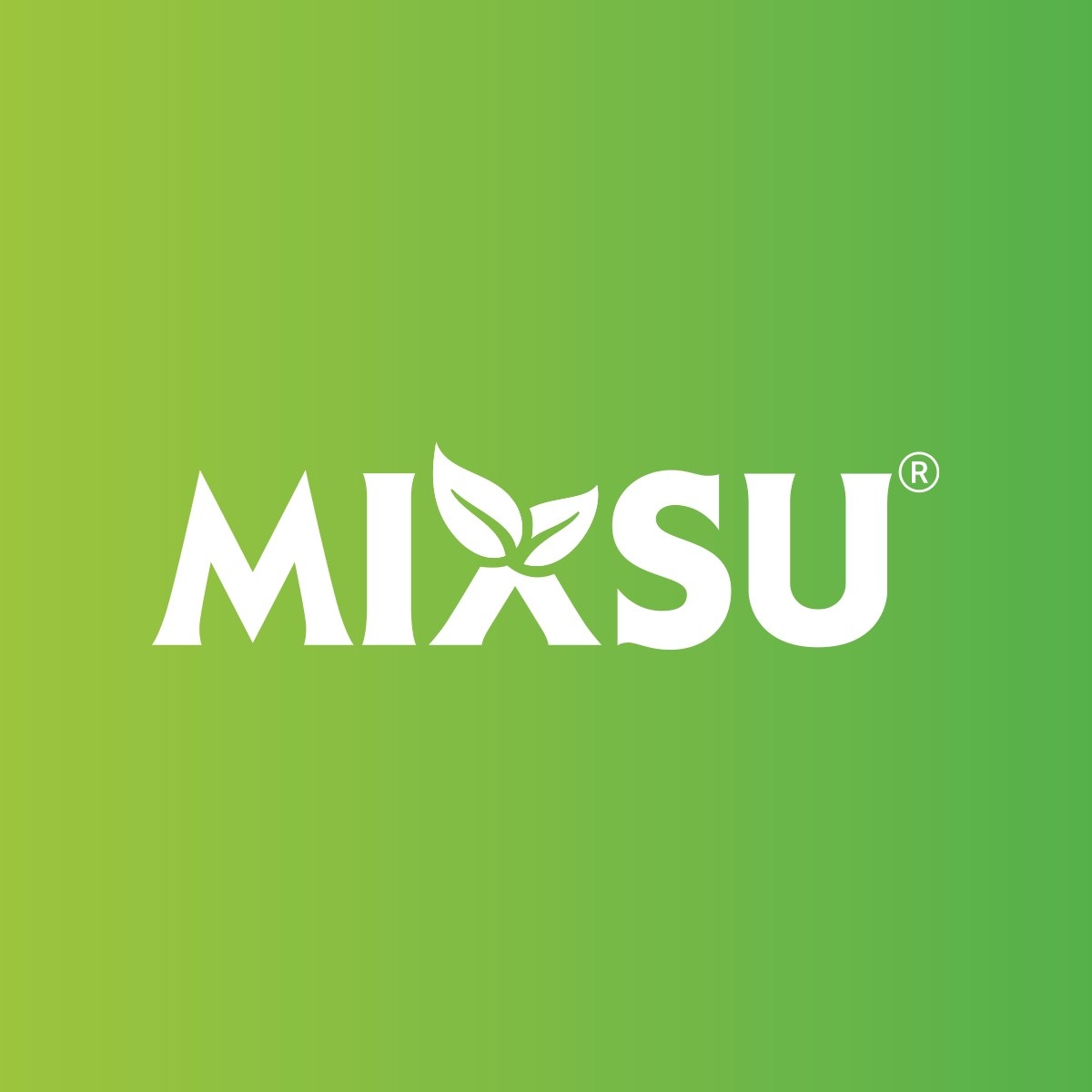 MIXSU - Llevamos un pedacito de Oaxaca a la feria en... | Facebook