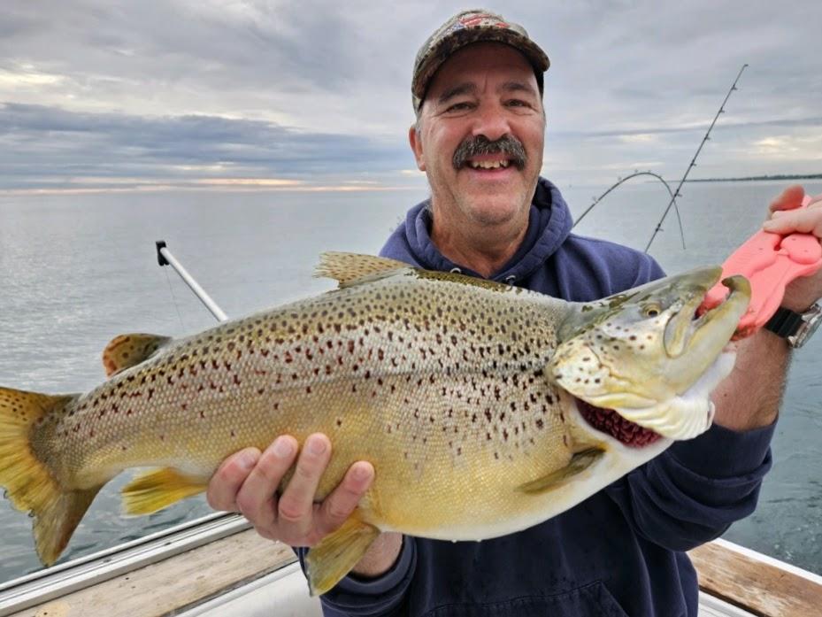 Read this week's... - At the Oak in Orleans County, NY