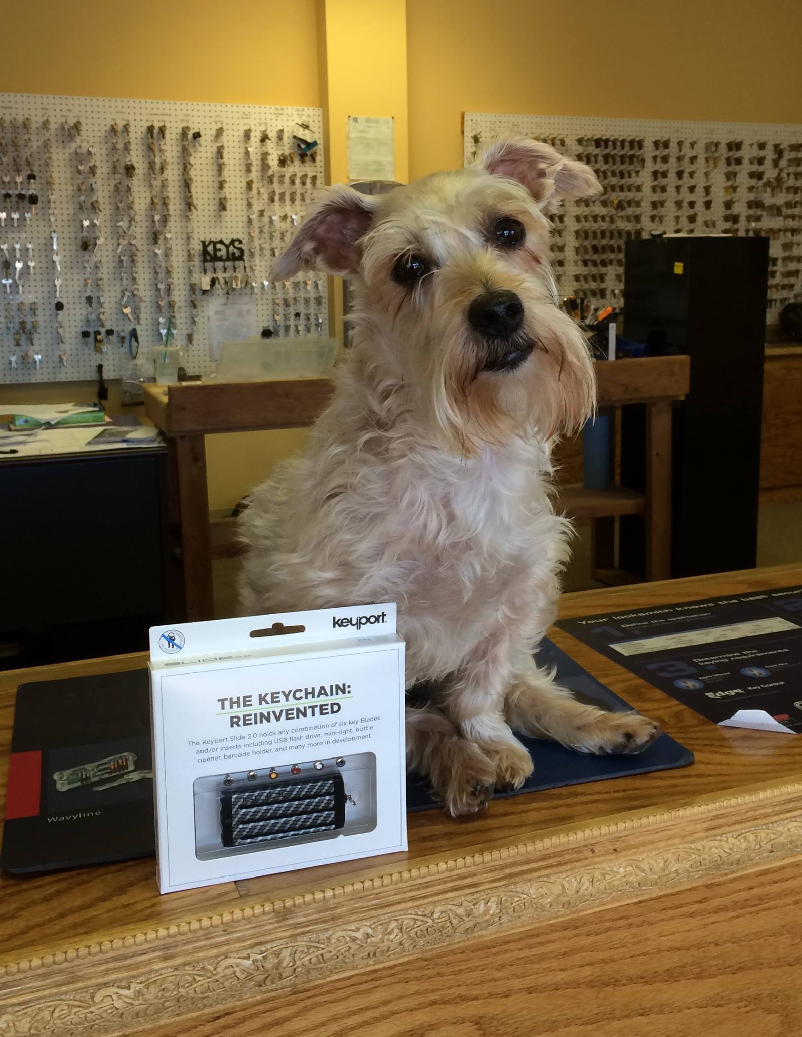 Perks Key & Lock | Little Rock AR