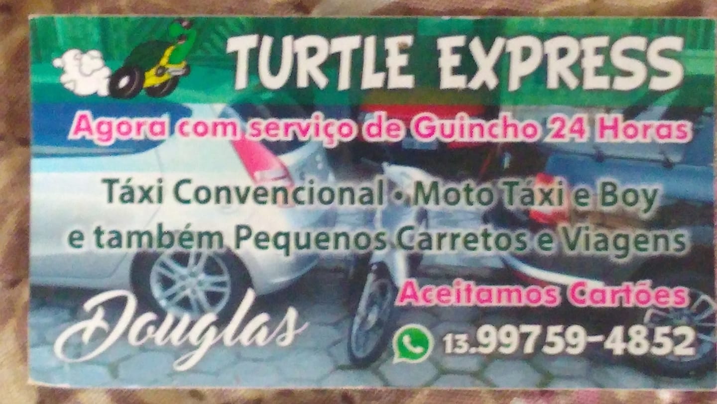 Turtle Express