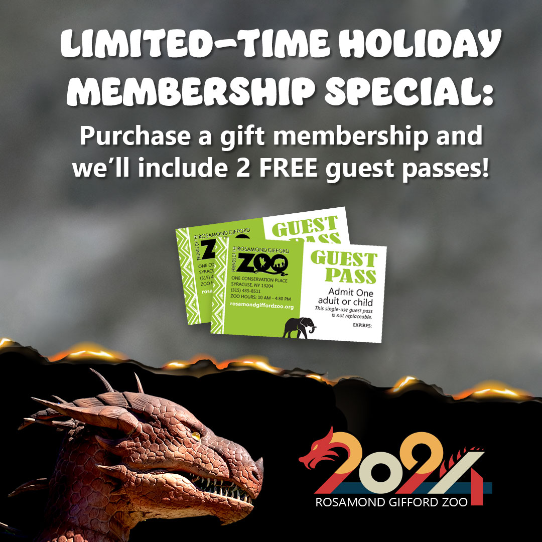Give the Gift of Membership! Purchase or renew a gift membership