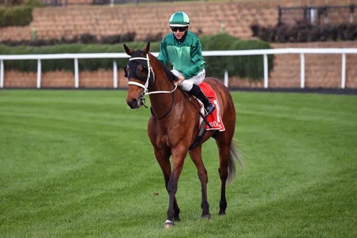 The Next Chapter - where are they... - Chris Waller Racing | Facebook