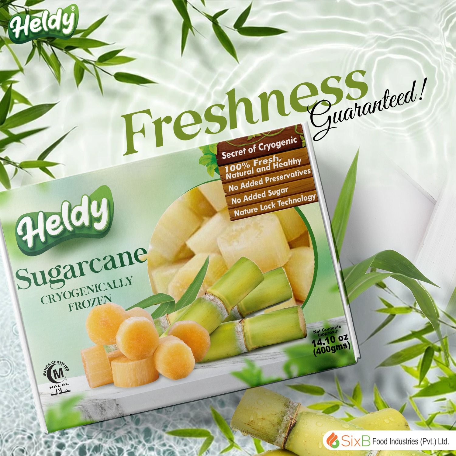 HELDY - Cryogenic Freezing Technology | Lahore