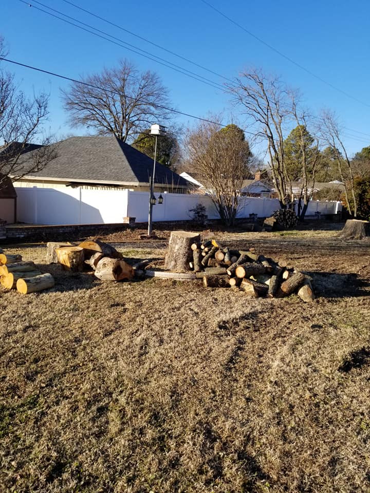 A.B.H Tree & Skidsteer Service | Shawnee OK