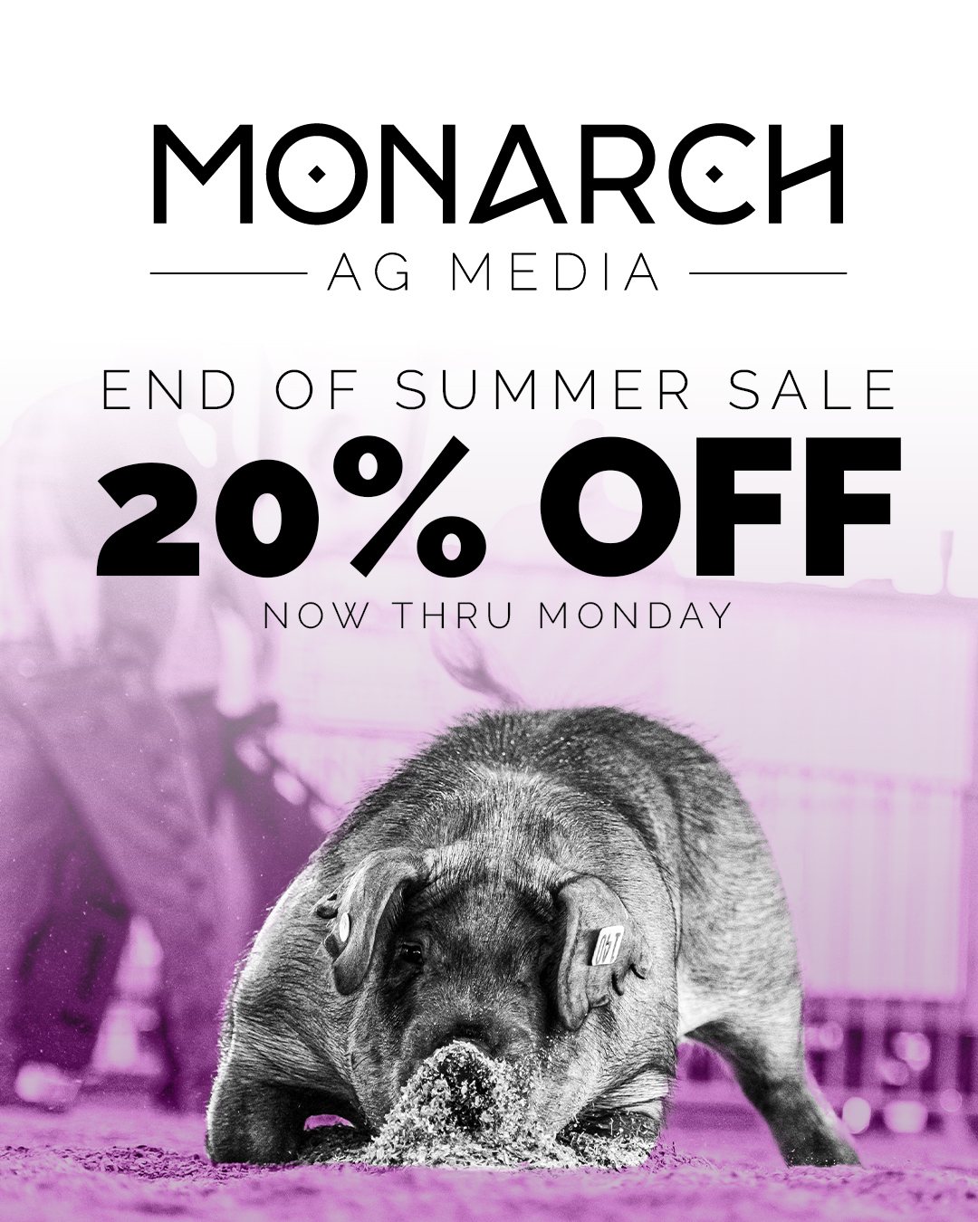 Monarch - Labor Day means SALE time! 🎉 We’re celebrating with 20% off ...