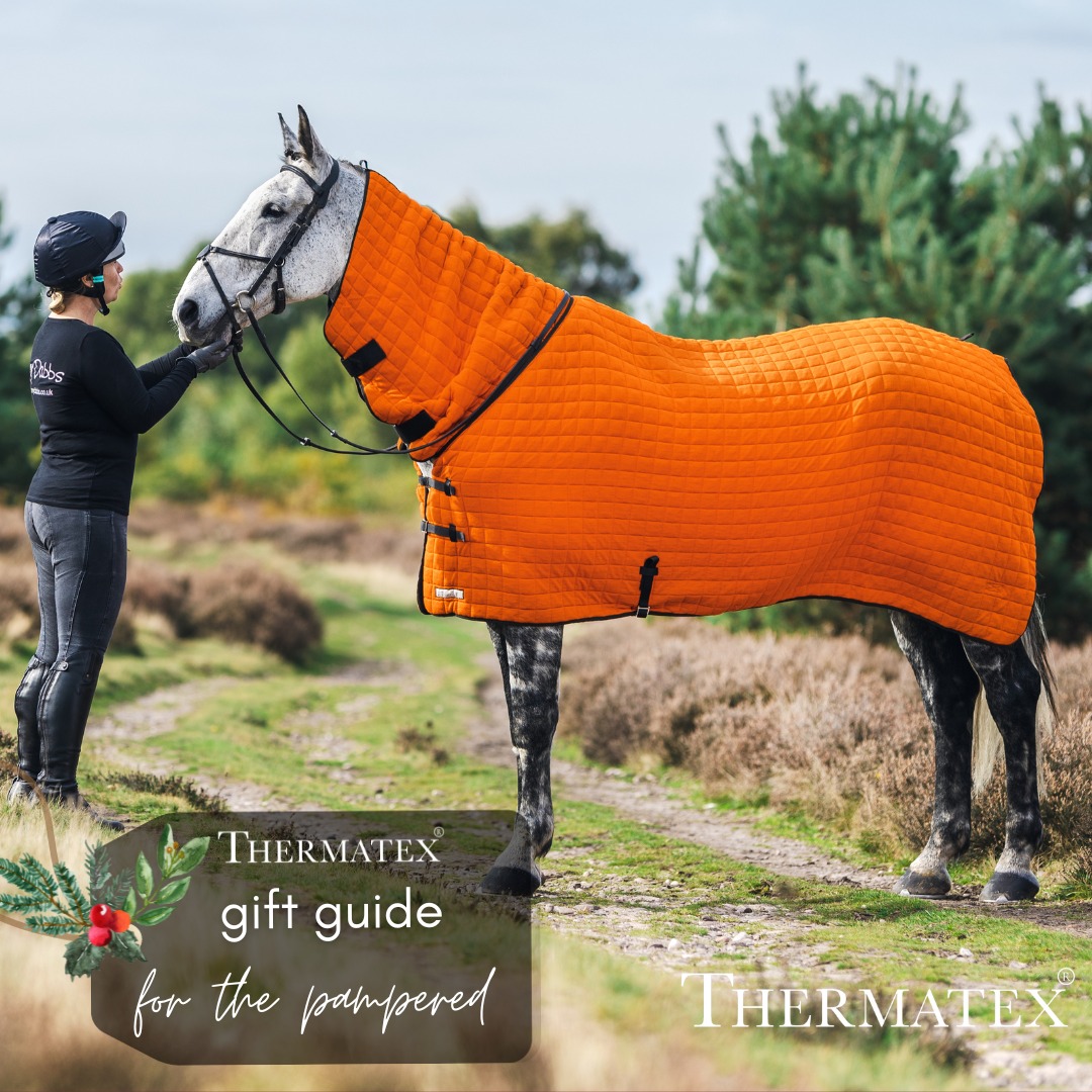 Thermatex - 🎄𝐆𝐈𝐅𝐓 𝐆𝐔𝐈𝐃𝐄 - 𝐃𝐀𝐘 𝟏🎄 For the pampered equine... | Facebook