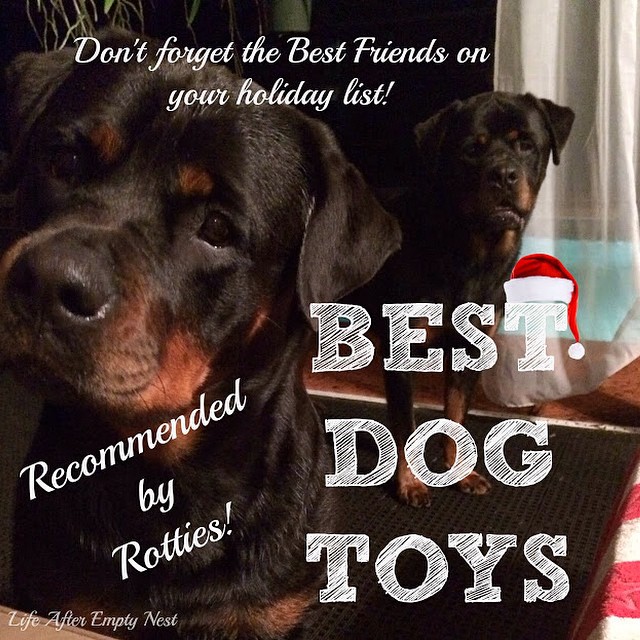 Rottie Ranch