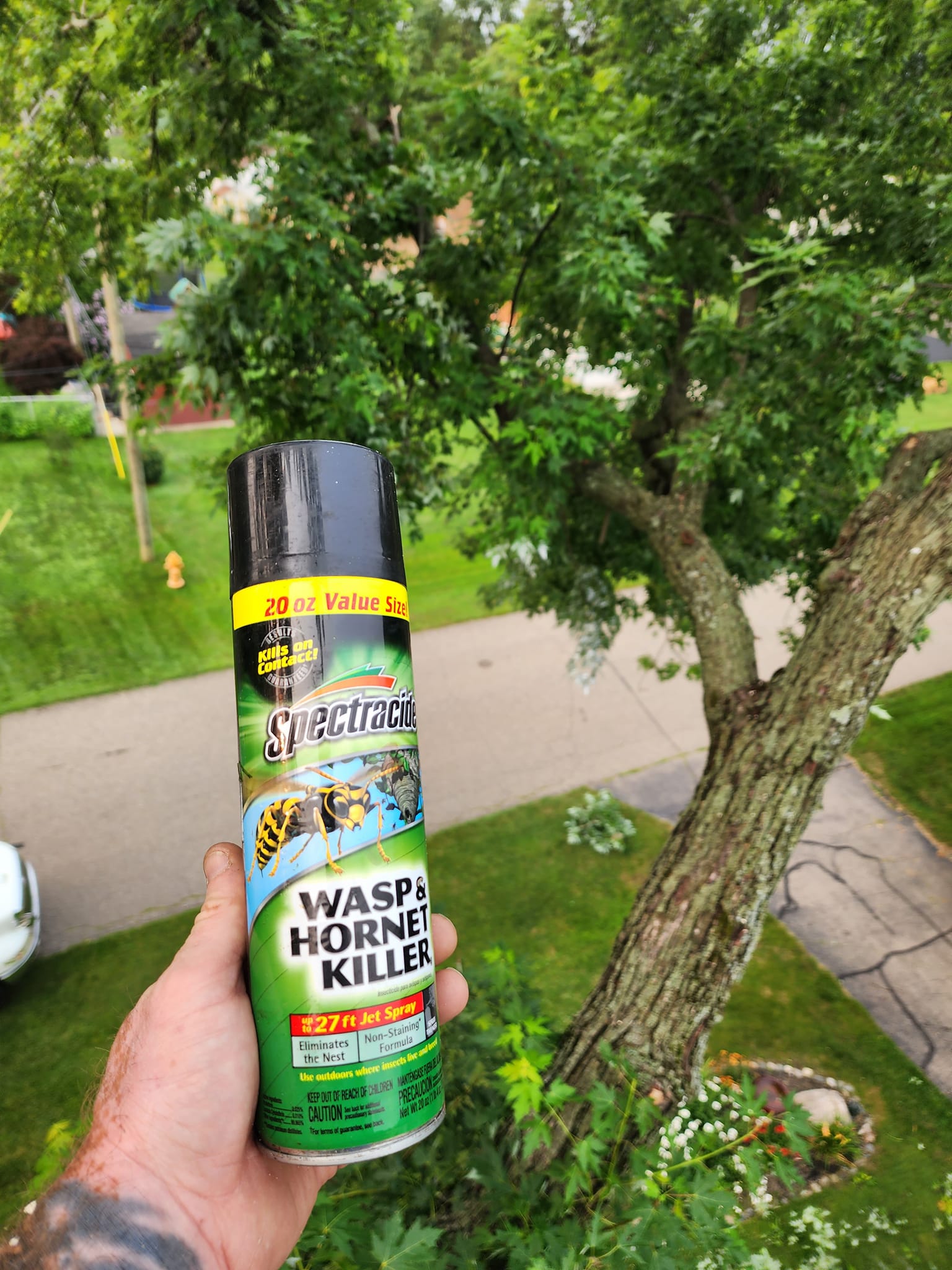 ProCare Tree services | Auburn Hills MI
