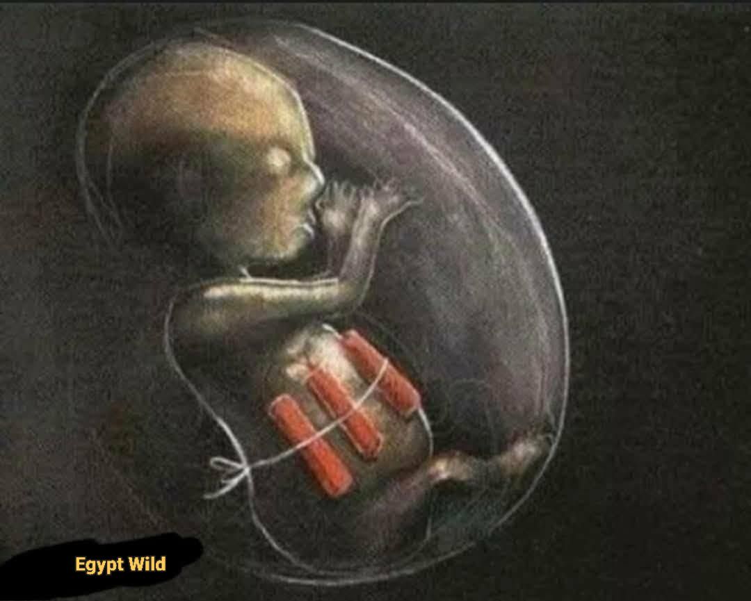Egypt - تعلمنا منهم ونحن صغار ( ان ) 👶👇 🦉 البومة ⬅ شؤم 🦅 الغراب ⬅ نحس 🦊 ...