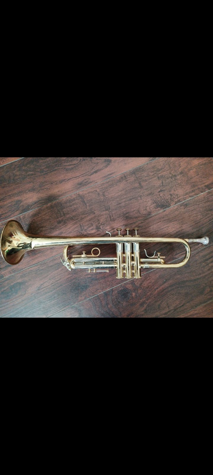 トランペット レイノルズ プロフェッショナル Reynolds Small Bore