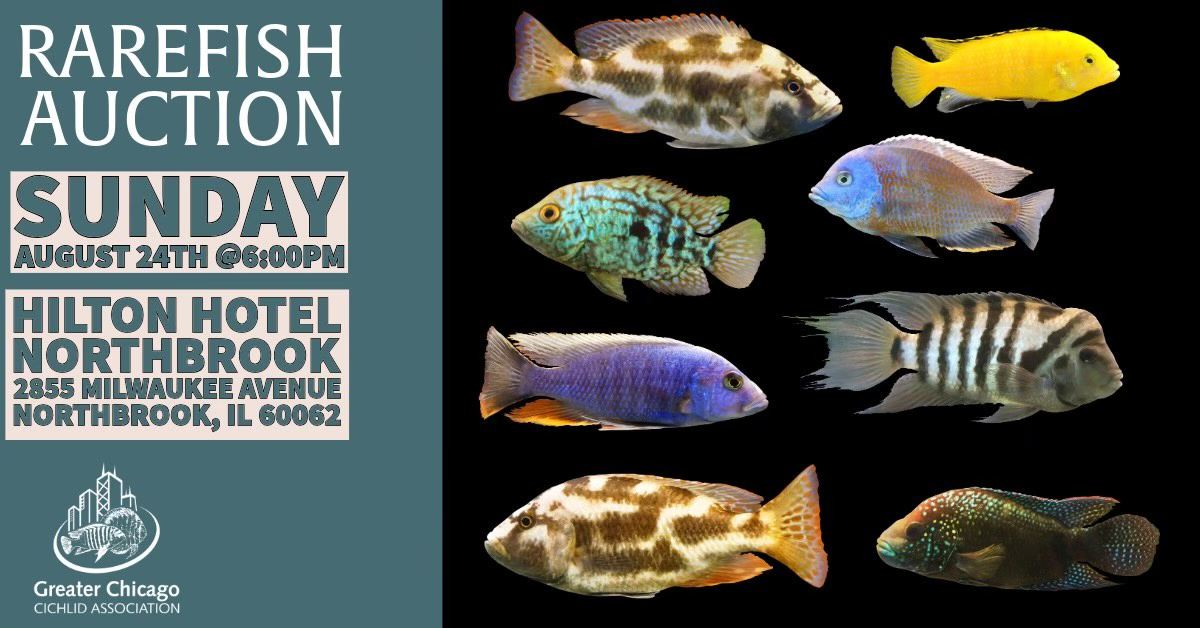 GCCA Meeting August: Rare Fish Auction (Fish list in August)