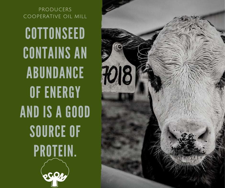 We take pride in helping... Producers Cooperative Oil Mill Facebook