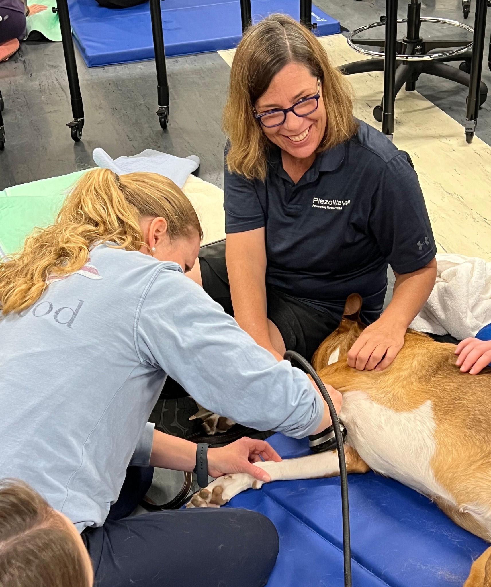 📣 Cindy Harrington, our Animal Health... - ELvation Vet USA | Facebook