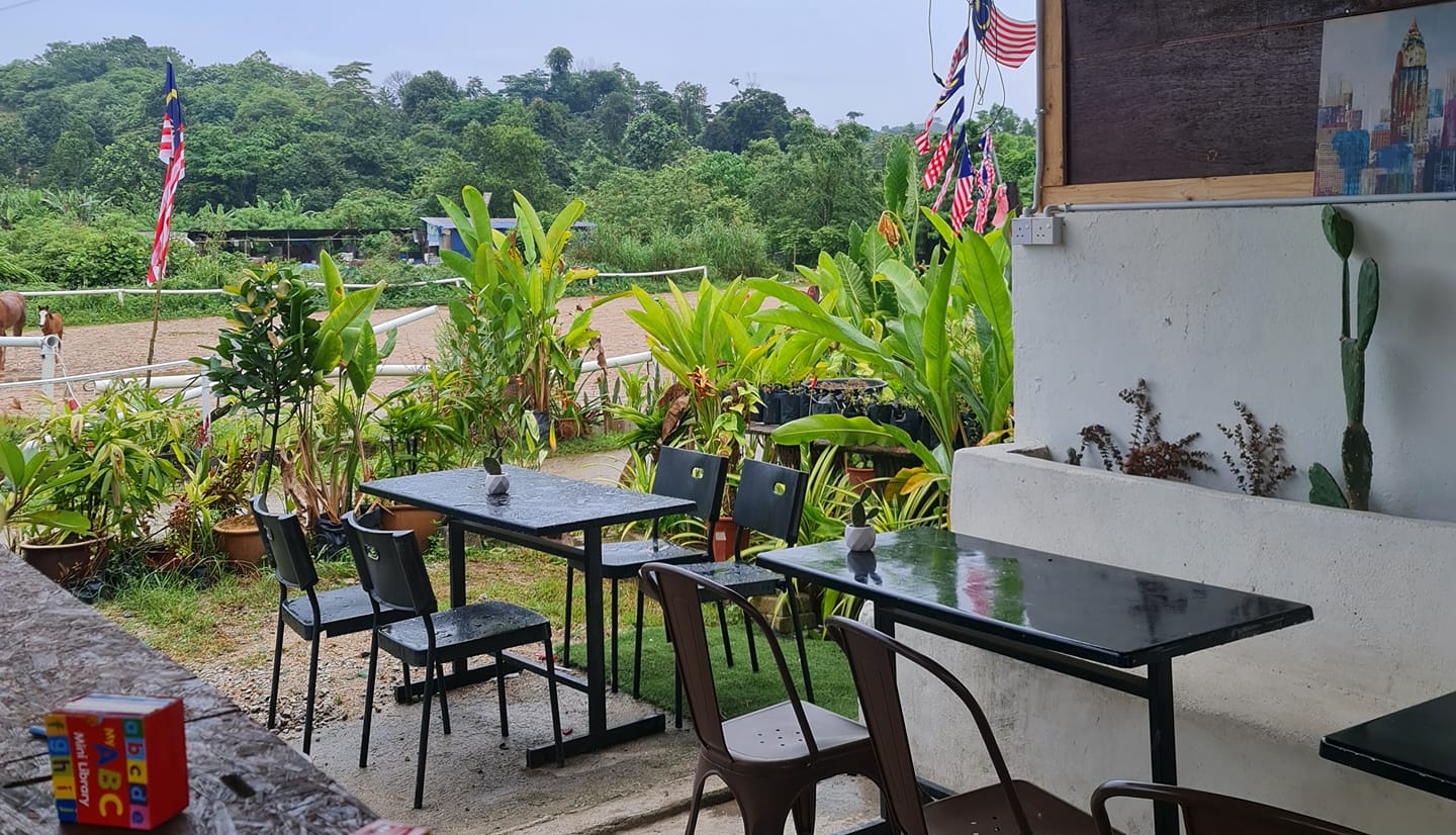 Rimba Coffee