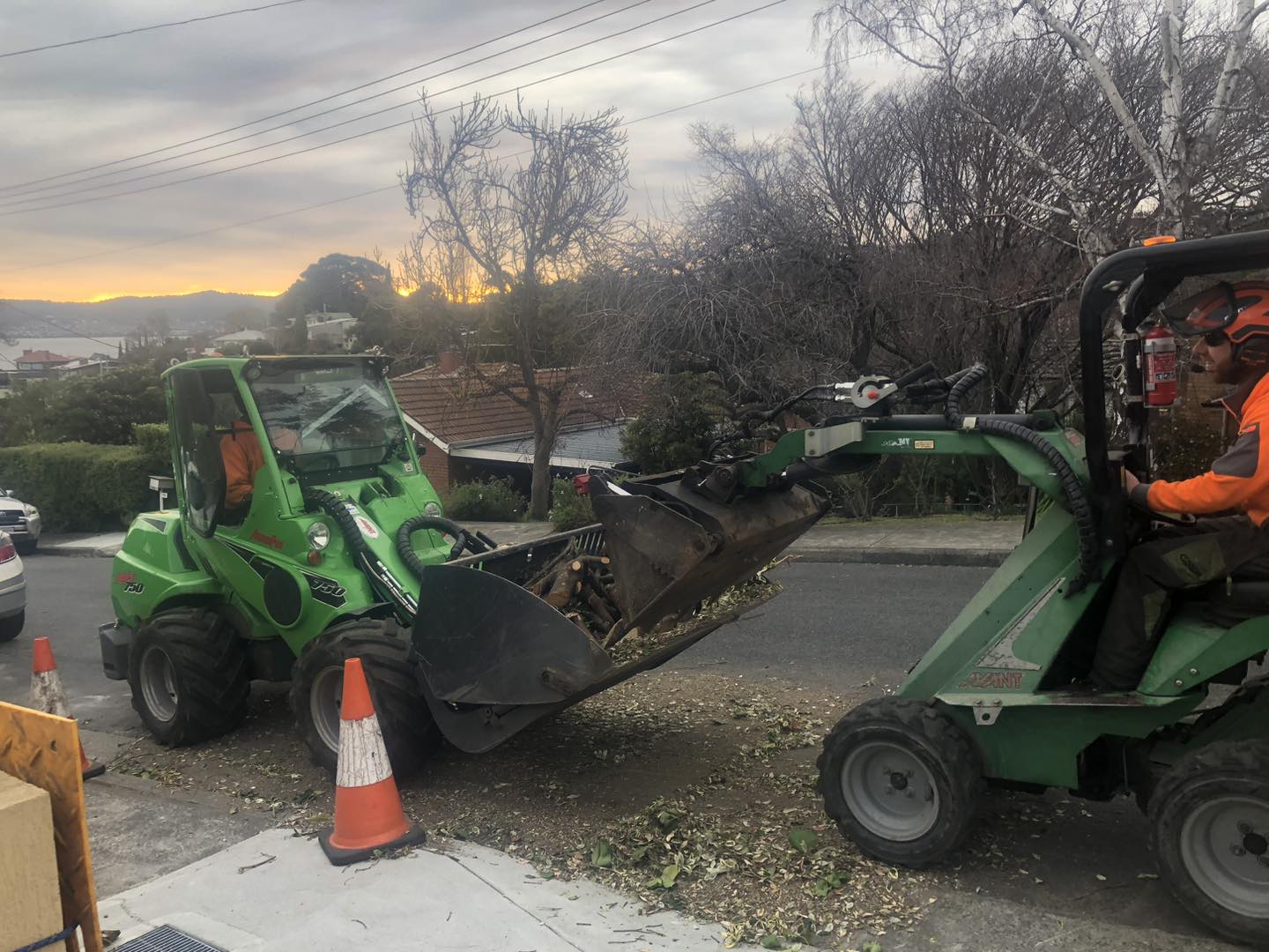Charlie's Tree Service | South Hobart TAS